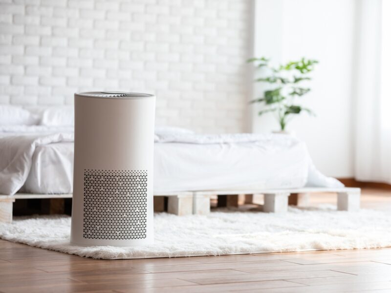 How Air Purifiers Can Ease Asthma and Allergies